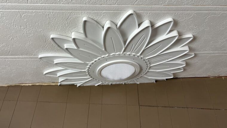Ceiling Medallion